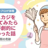 タスカジを使ってみたら家が劇的に変わった話